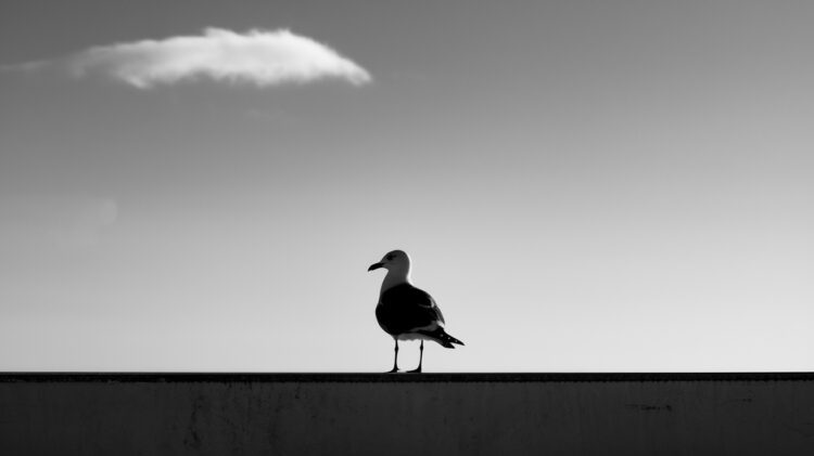 Minimalist compositions in urban landscape photography tips for clean cityscape images